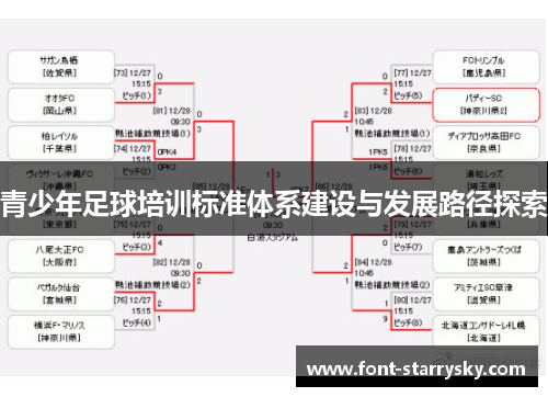青少年足球培训标准体系建设与发展路径探索