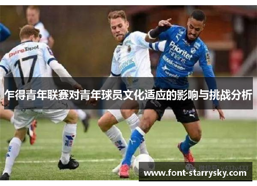 乍得青年联赛对青年球员文化适应的影响与挑战分析