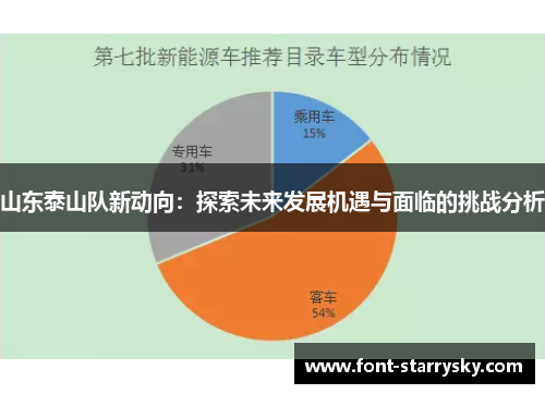 山东泰山队新动向：探索未来发展机遇与面临的挑战分析